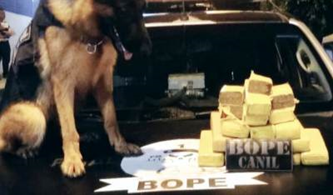 BOPE Comando apreende mais de oito quilos de maconha em Maceió