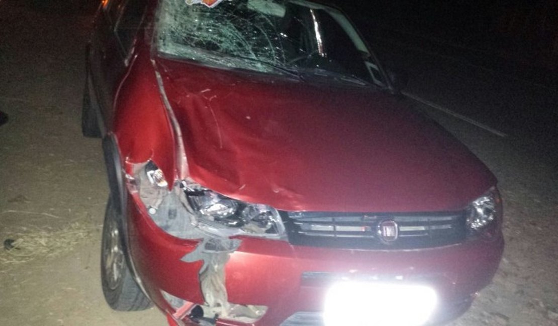 Vereador sofre acidente ao colidir em animal na pista, na AL-487