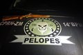 PM apreende entorpecentes e arma de fogo na Zona da Mata alagoana