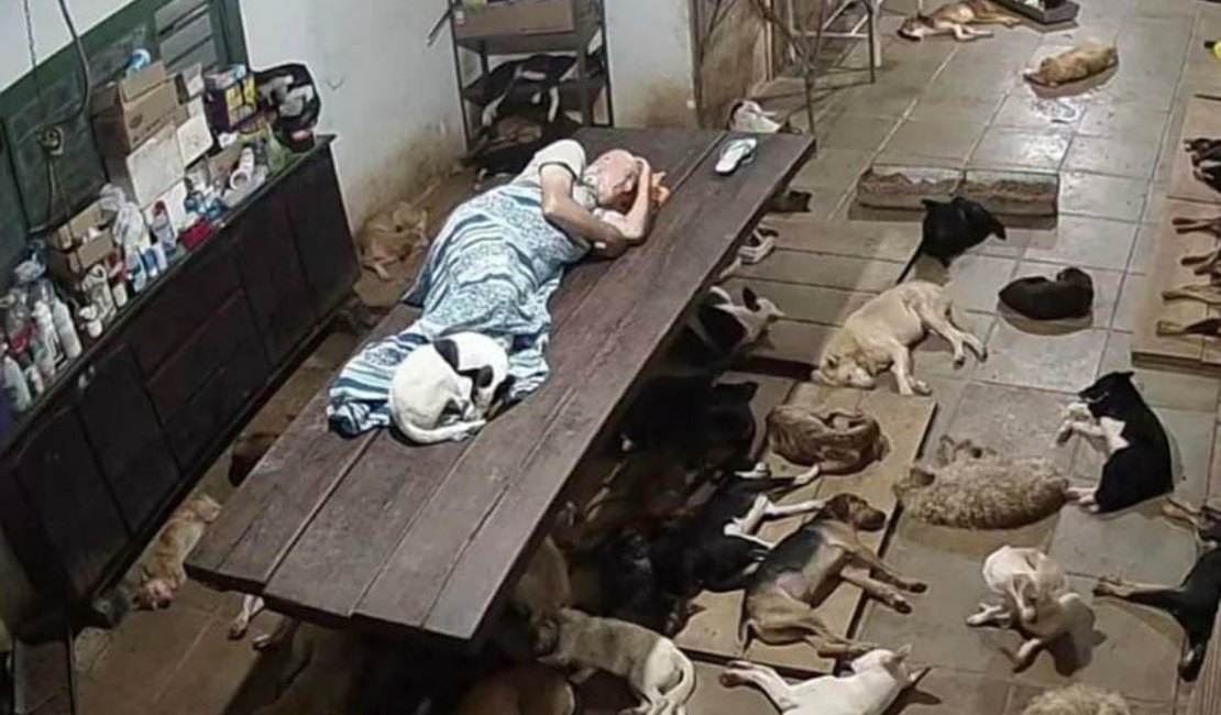 Dono de abrigo precisa de ajuda após gastar tudo para cuidar de 800 cães em Marechal Deodoro