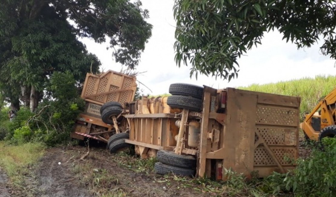 Caminhão tomba no acostamento e ocasiona outros dois acidentes na BR-316, no município de Pilar