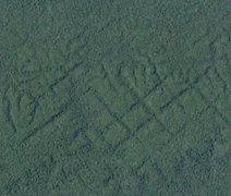 Ratanabá: saiba a história da suposta cidade perdida na Amazônia brasileira