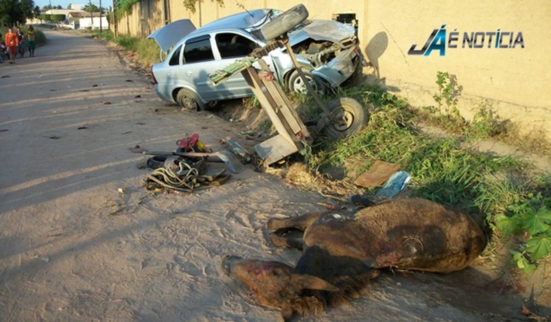Colisão entre carroça de burro e automóvel deixa dois feridos no bairro Guaribas
