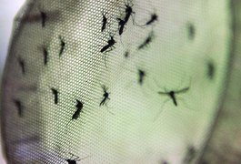 Vacina contra a dengue reduz em 95% os casos graves da doença