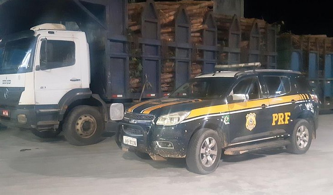 Mais de 50 toneladas de eucalipto sem nota fiscal são apreendidas no interior de Alagoas