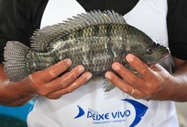 Feira do Peixe Vivo vai comercializar três toneladas de pescado