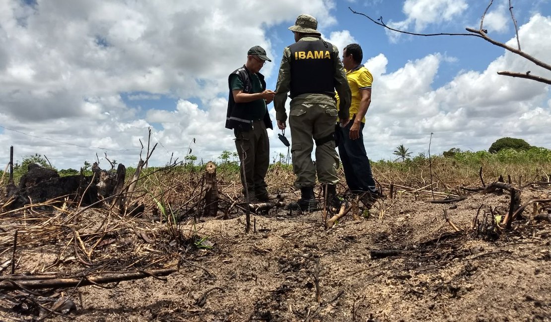 FPI do São Francisco usa imagens de satélite em atuação contra desmatamento