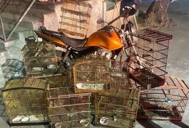 Polícia apreende arma, recupera moto roubada e resgata animais silvestres