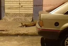 Polícia registra assassinato de dois jovens em Maceió
