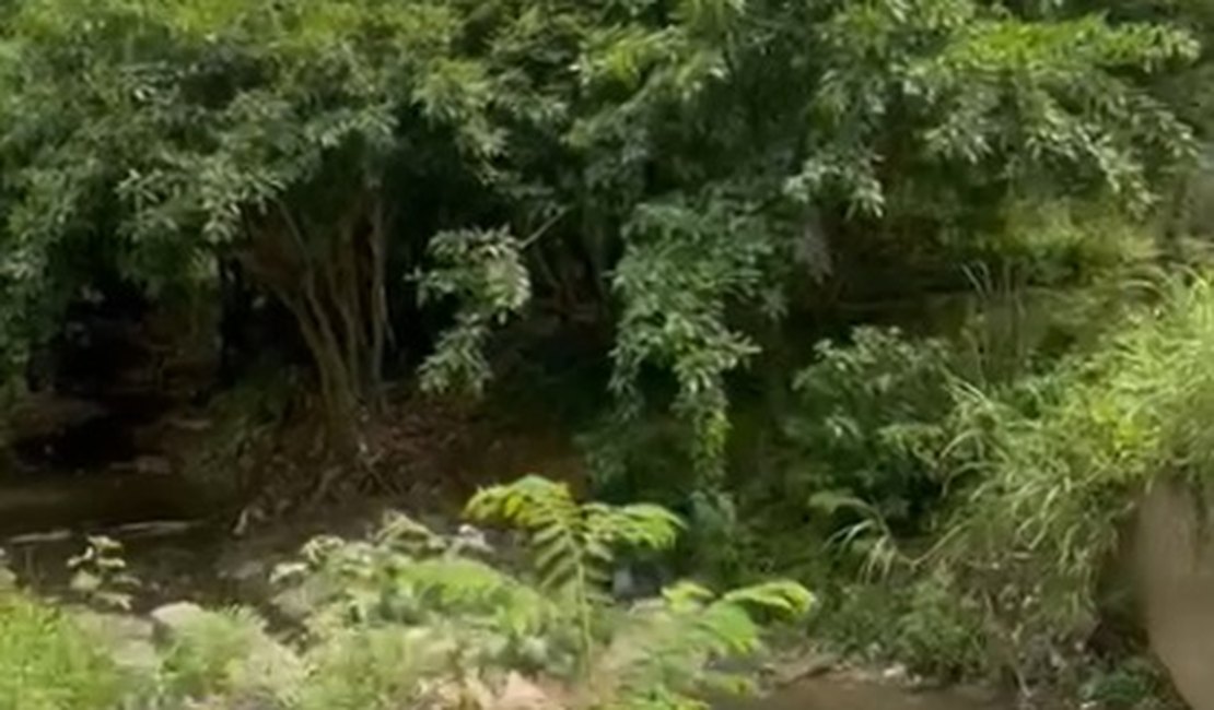 Ossadas encontradas no Vale Reginaldo serão identificadas por exame de DNA