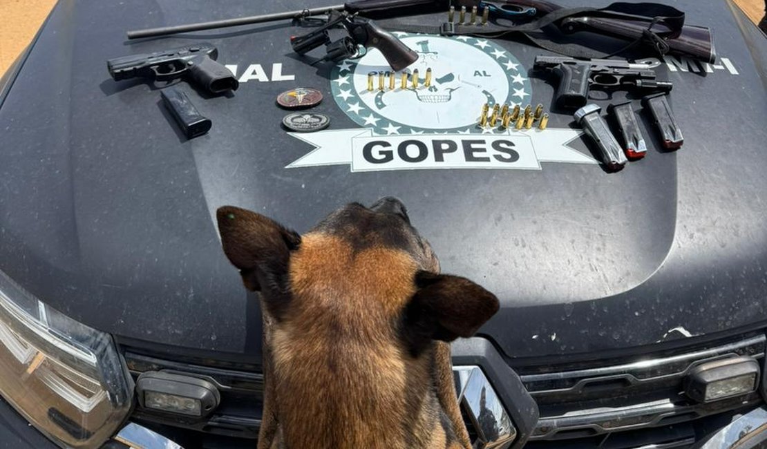 Suspeito foge e deixa pistola, revólver e espingarda para trás, na zona rural de São Sebastião