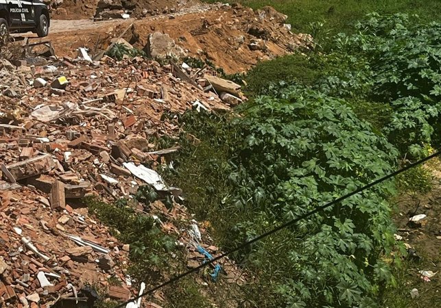 Homem é preso em flagrante por crime ambiental em Maceió