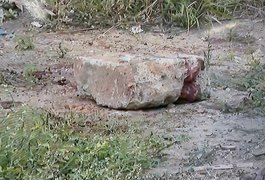 Homem é assassinado em galpão abandonado na parte alta de Maceió