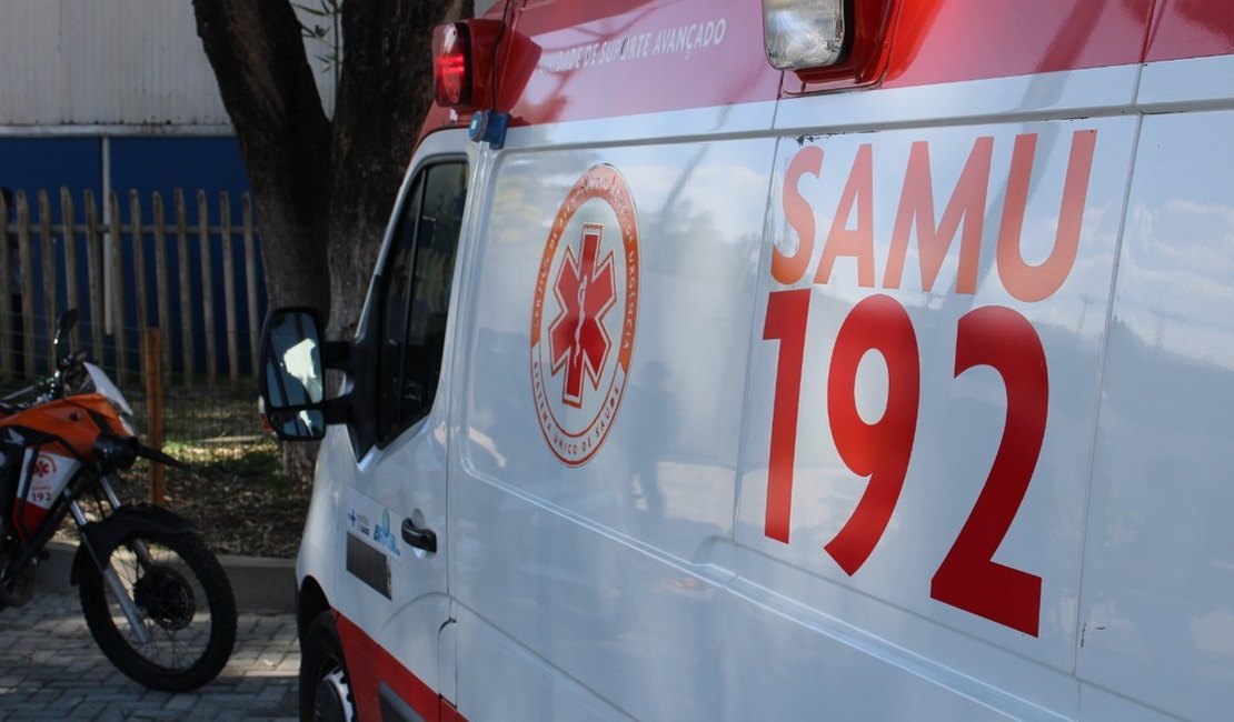 Capotamento de van entre Porto de Pedras e Porto Calvo deixa motorista ferido