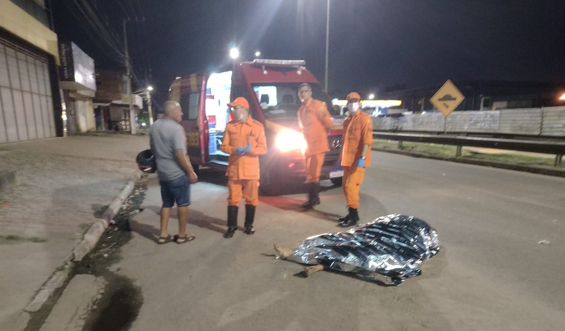 Mulher morre após bicicleta ser atingida por carro em alta velocidade na AL 220, em Arapiraca; condutora foi presa