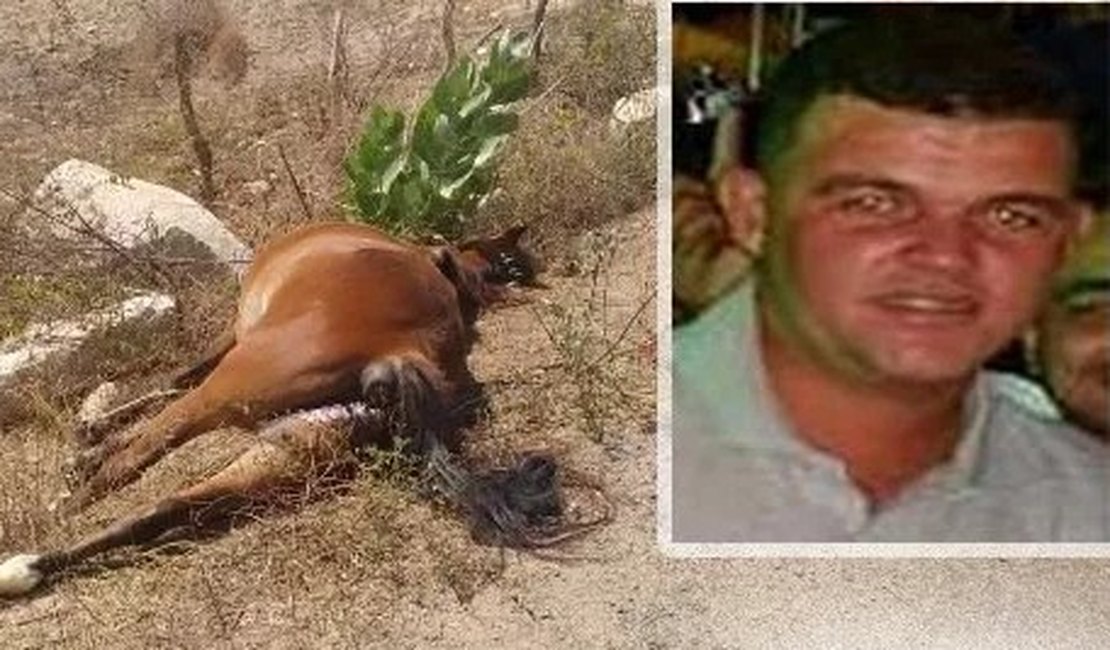 Uma pessoa morre e outra fica ferida em acidente com animal em Maravilha