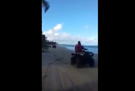 Vídeo: quadriciclos atropelam filhotes de tartaruga na Praia do Gunga