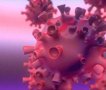 Pesquisa identifica 7 formas diferentes de Covid-19 em pacientes leves