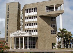 Ministério Público denuncia dupla por maus-tratos em clínica clandestina após casos de morte de animais