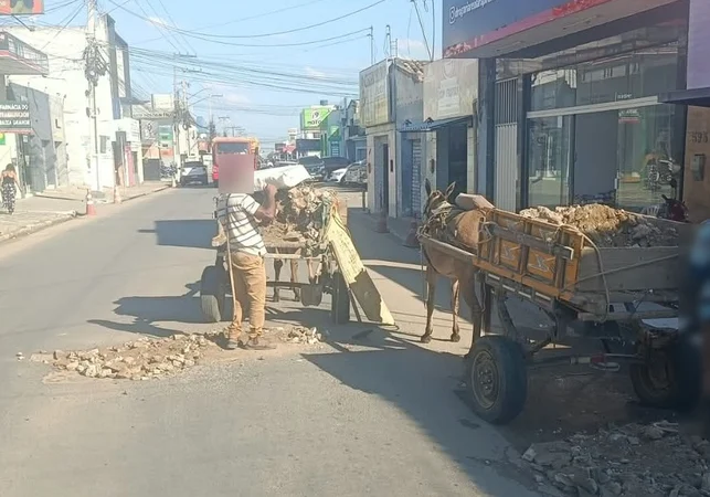 Carroceiros utilizam restos de construções para tapar buracos em via movimentada de Arapiraca