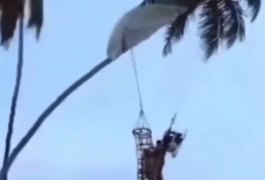 Homem cai de paramotor e fica pendurado em coqueiro em praia de Pernambuco