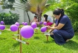 Área Lilás do Hospital de Emergência do Agreste transforma jardim em painel de conscientização sobre violência contra a mulher