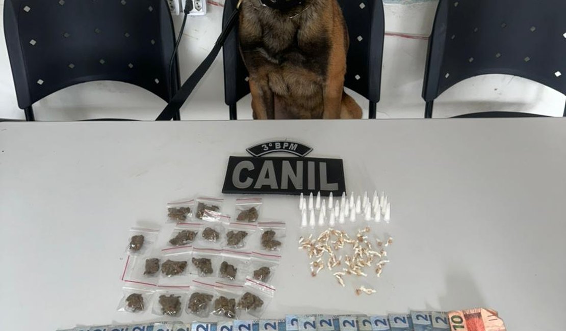 Cão farejador encontra drogas em área de mata e suspeito de 19 anos é preso, em Arapiraca