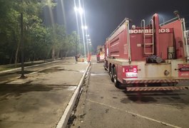 Incêndio atinge área de vegetação no Bosque das Arapiracas