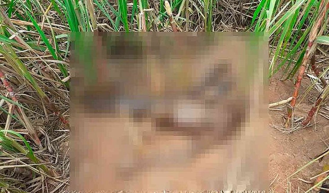 Corpo em avançado estado de decomposição é encontrado no interior de Alagoas