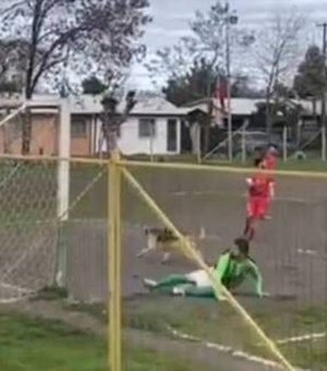 Cachorro goleador invade campo e anota gol após cobrança de falta