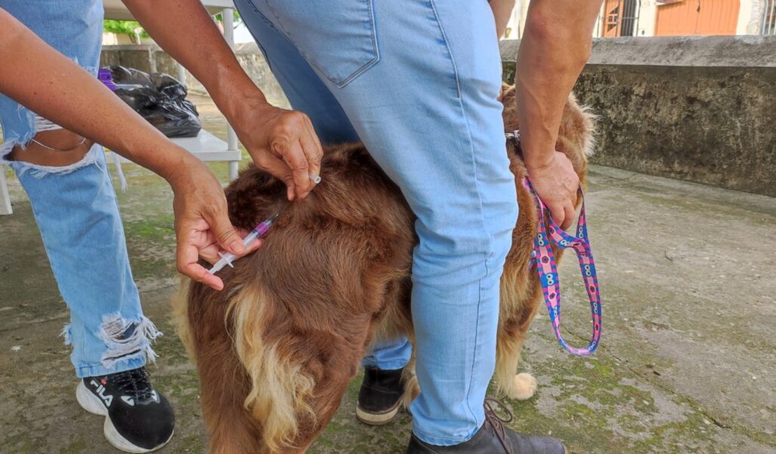 Abertura da campanha antirrábica em Penedo vacina cerca de 8 mil animais