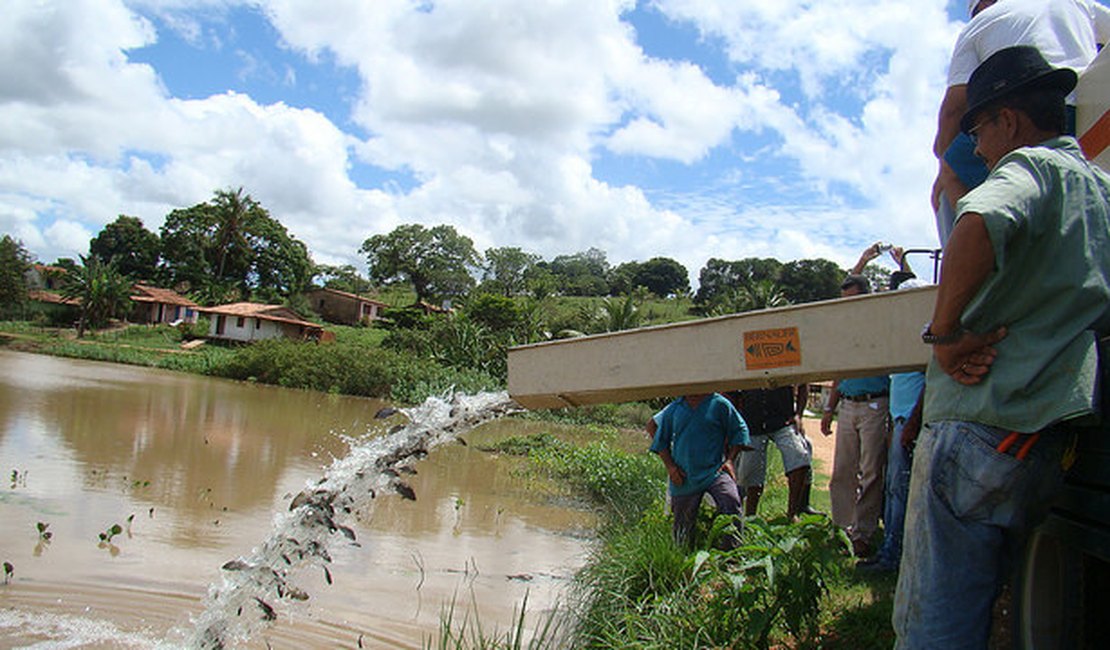 Codevasf recupera estoque pesqueiro de lagoa em Limoeiro do Anadia