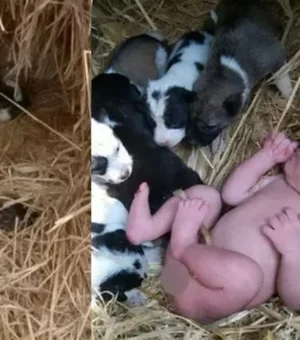 Filhotes de cachorro salvam recém-nascida que foi abandonada no frio pelos pais