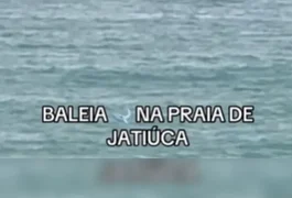 Registro emocionante: baleia aparece na Praia de Jatiúca e viraliza
