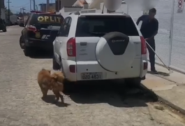 Ação policial, em Maceió, resgata animal abandonado em residência por dono que viajou