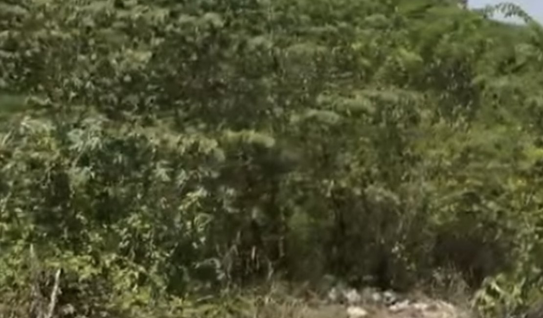 Cabeça humana é encontrada em açude no Tabuleiro do Martins e polícia suspeita de jovem desaparecido