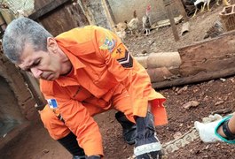 Bombeiros resgatam cobra de quase um metro em residência em Coité do Noia