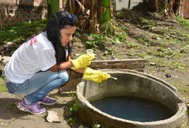 Instituto Evandro Chagas confirma a circulação do Zika vírus em 5 municípios alagoanos