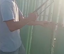 VÍDEO. Família arromba portão após encontrar cemitério fechado e não conseguir enterrar parente no interior de Alagoas