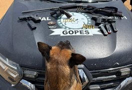 Suspeito foge e deixa pistola, revólver e espingarda para trás, na zona rural de São Sebastião