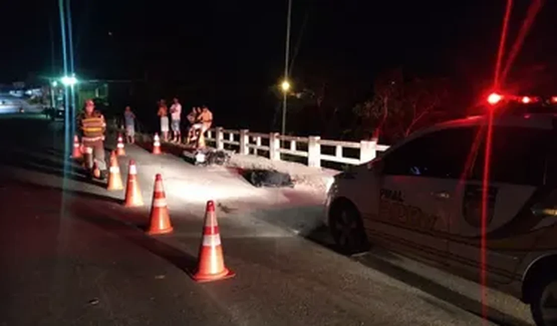 Animal solto na pista morre ao ser atingido por carro, na AL 115, em Palmeira dos Índios﻿