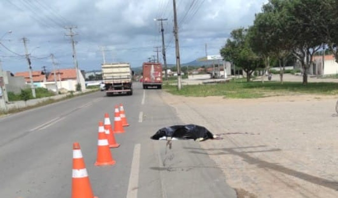 Estudante morre após ser atropelado por caminhão da Coca-Cola na AL-115, em Arapiraca