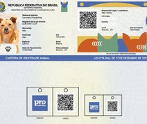 É falso que governo vá cobrar imposto sobre pets: novo sistema SinPatinhas é gratuito e voluntário