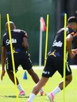 Seleção brasileira se reapresenta e faz 1º treino para encarar Haiti