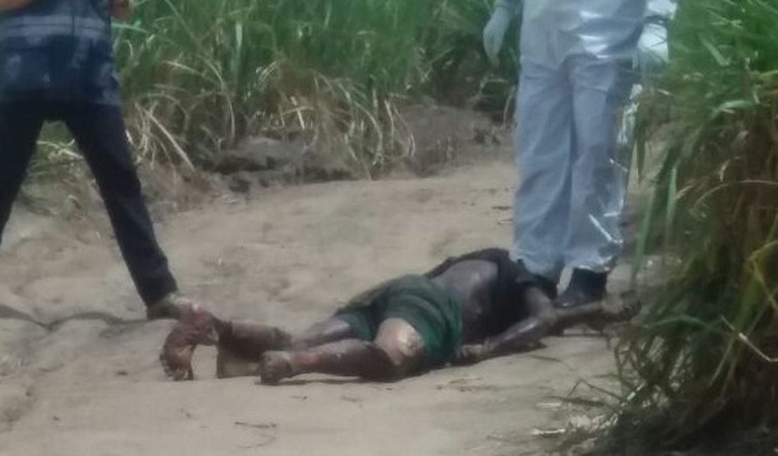 Corpo em estado avançado de decomposição é encontrado em canavial de Coruripe