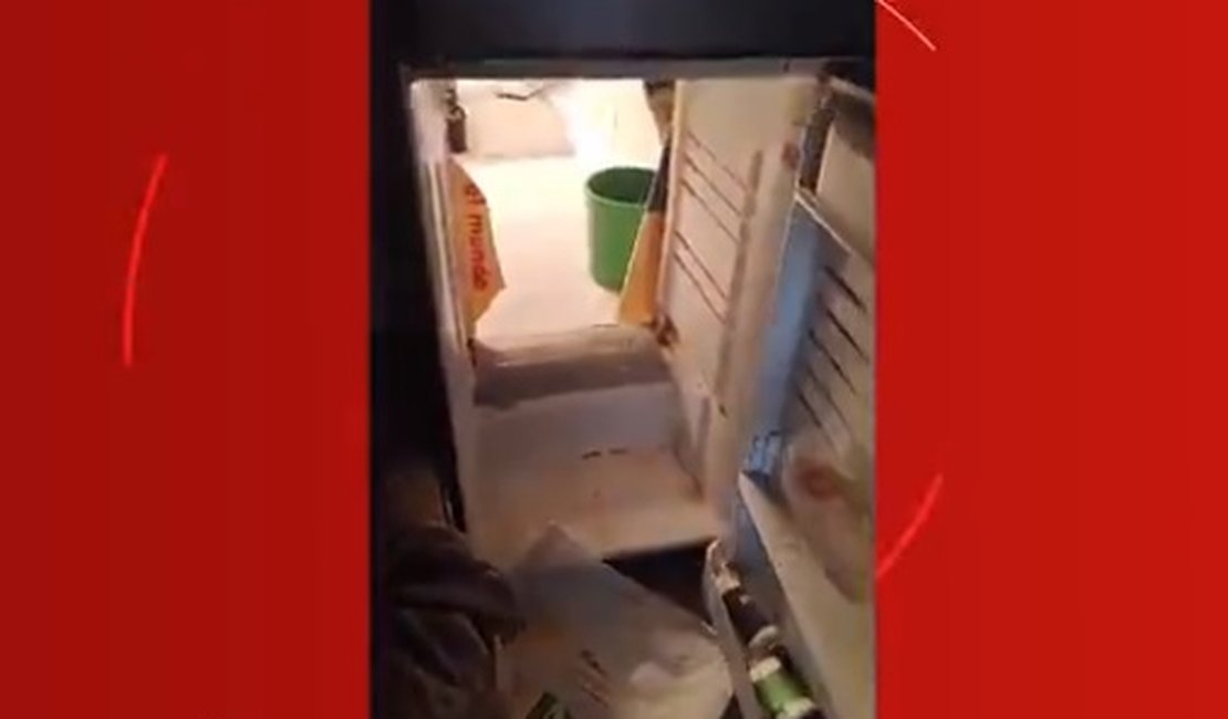 Polícia flagra passagem secreta dentro de geladeira que escondia plantação de maconha