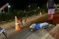 Homem morre após caminhonete atingir cavalo na BR-104, em União dos Palmares
