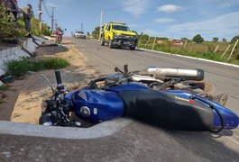 Dupla colide com viatura da PM em Feira Grande e cachorro come dedo de vítima