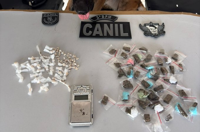 Canil e Rocam prendem casal por tráfico de drogas no Conjunto Frei Damião, em Arapiraca