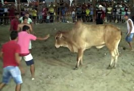 Maus-tratos a animais são flagrados em rodeio no interior de Alagoas